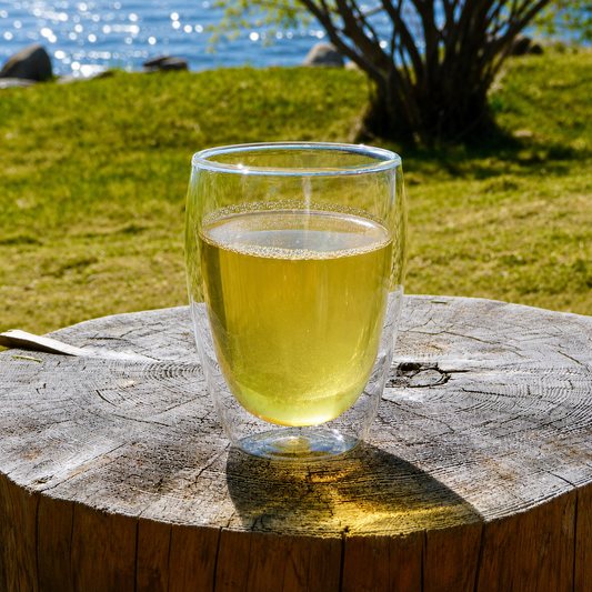 Herbal tea in a glass cup surrounded by Nordic nature