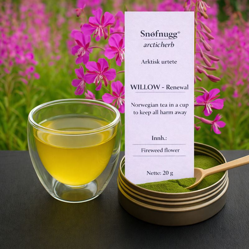 WILLOW arctic herbal tea made from fireweed, finely ground whole-plant tea in glass jar.
