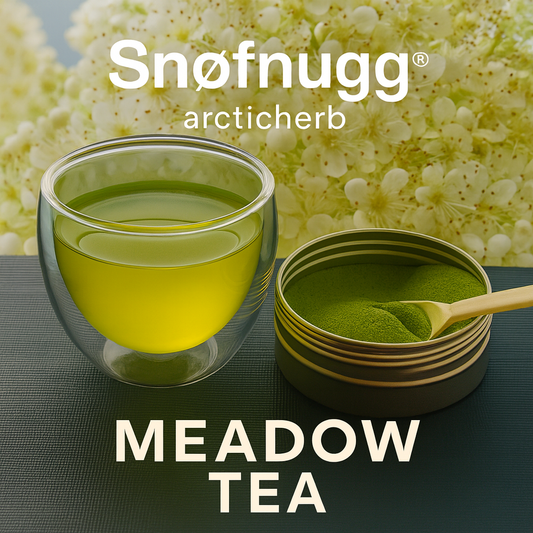 Meadow Tea – Wild Arctic Meadowsweet