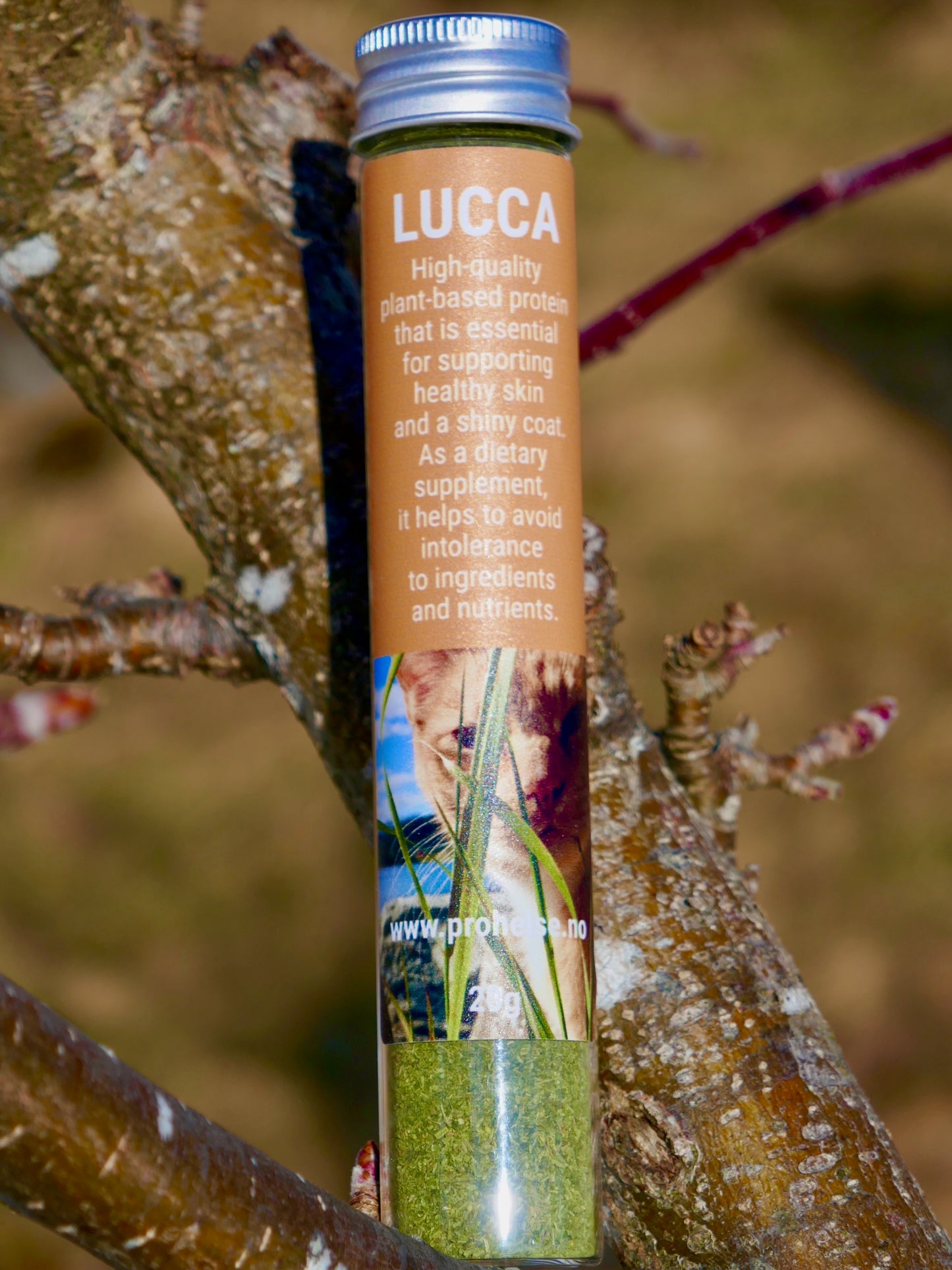 Lucca Supplement for Dogs and Cats