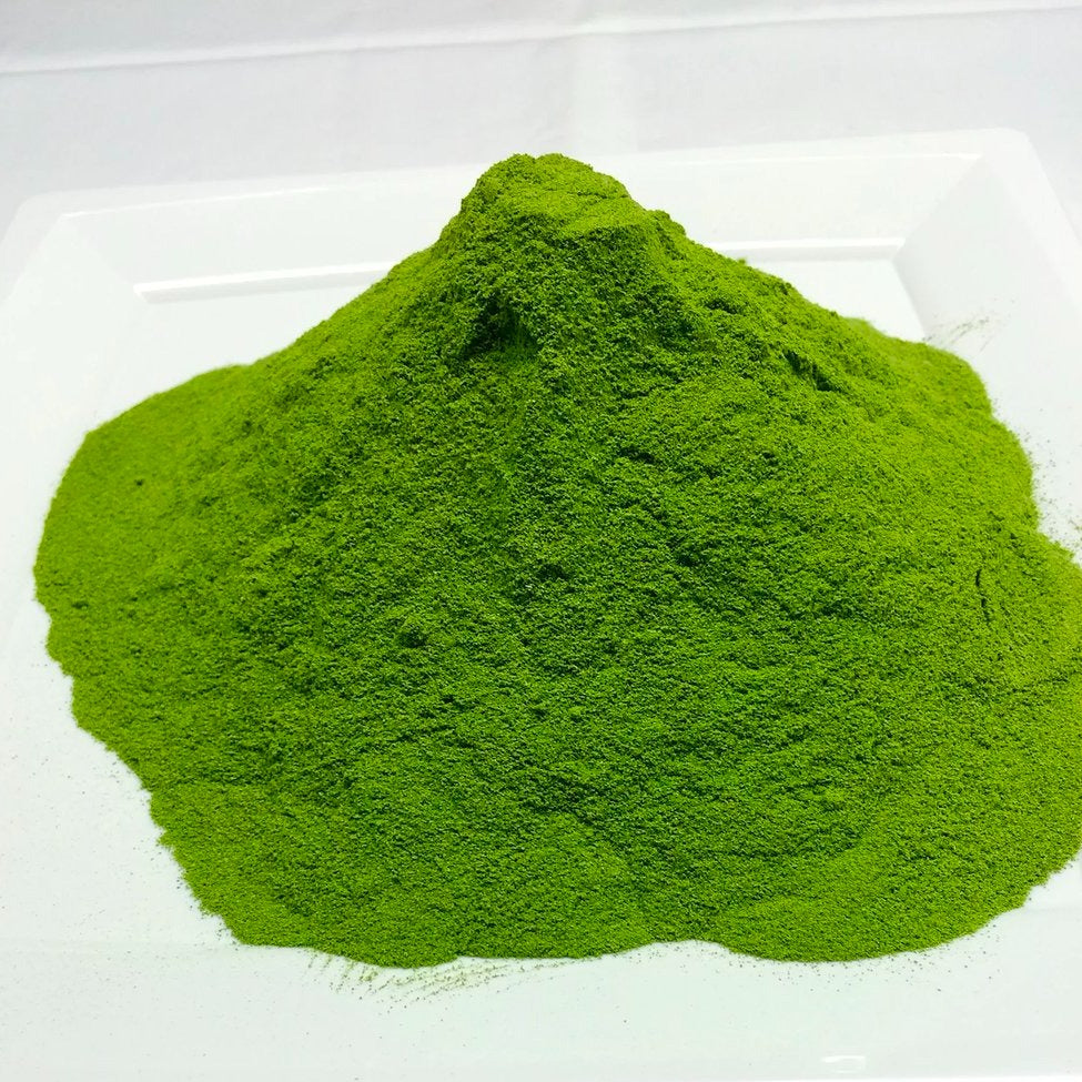 Green  Arctic Matcha Tea